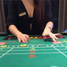hatoribet link live slot games and tournament interface on mobile